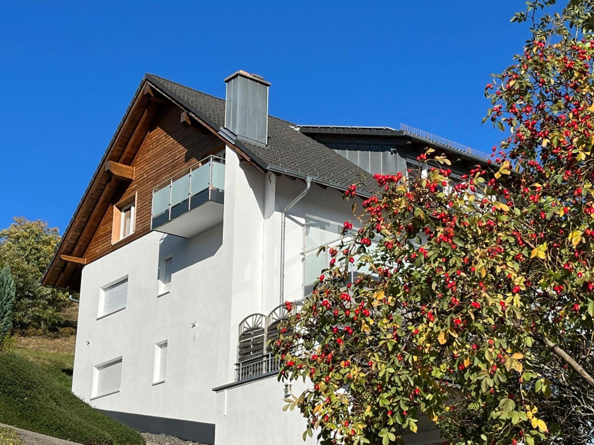 Apartment Schwarzwaldblick I By Interhome Bernau im Schwarzwald Exterior foto